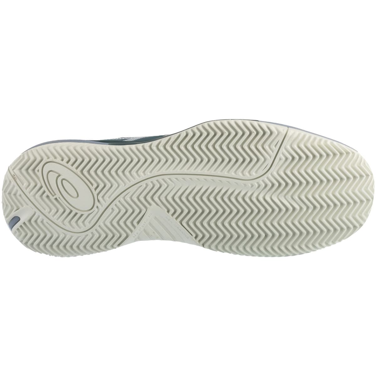 ASICS GelChallenger 15 Clay 1041A508020