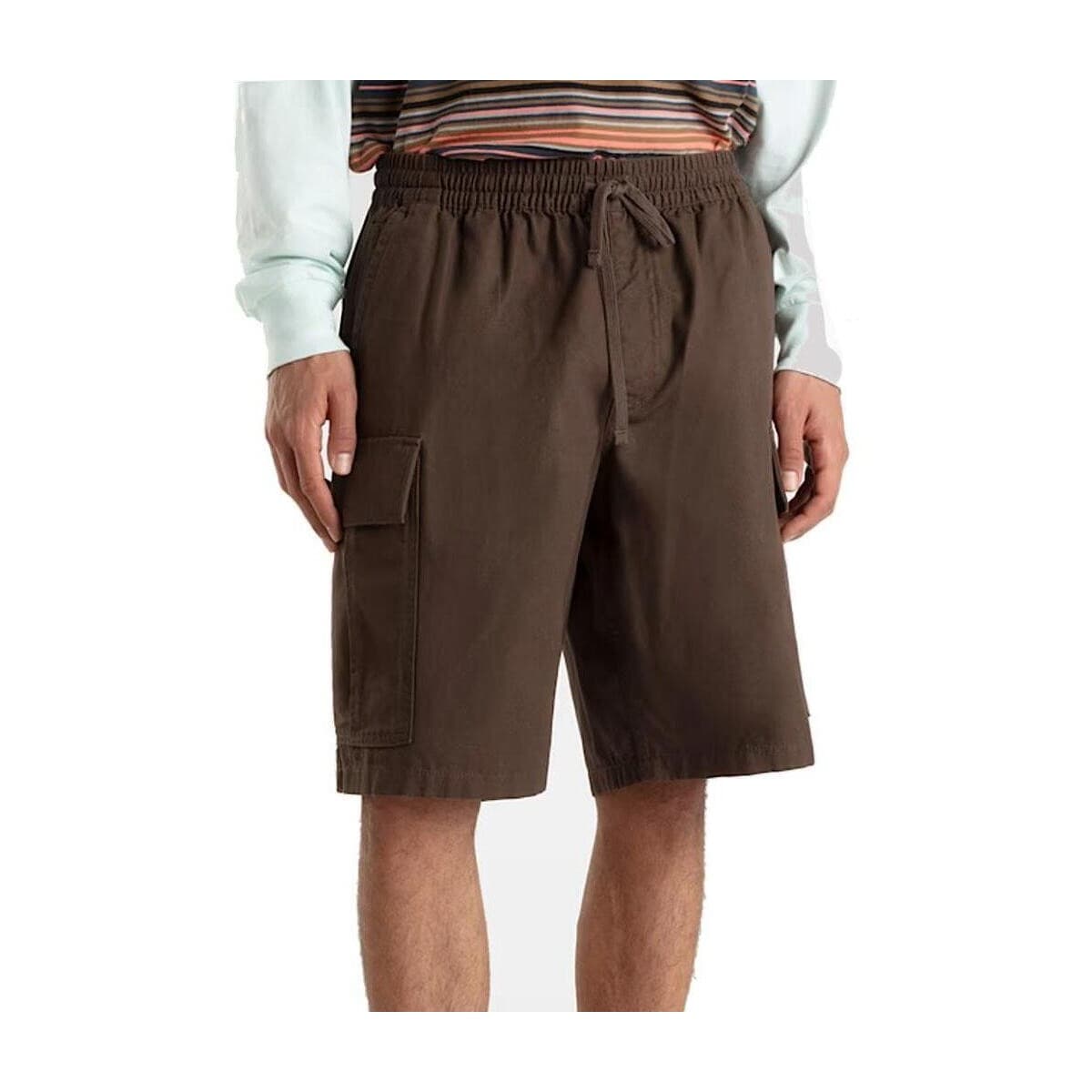 Men's Shorts Vans Brown