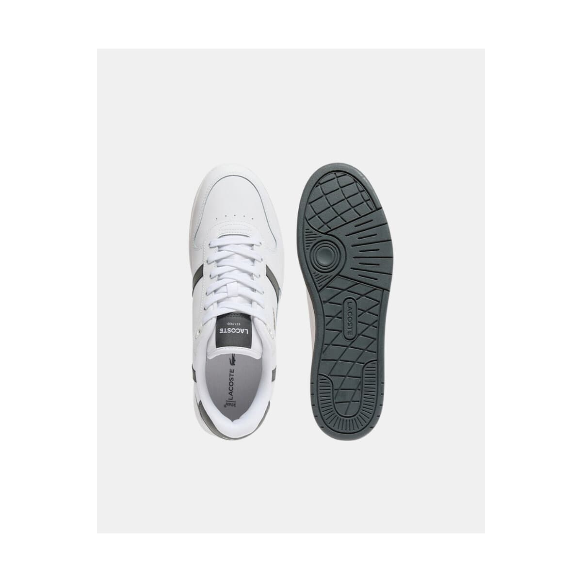 Men's Sneakers Lacoste White