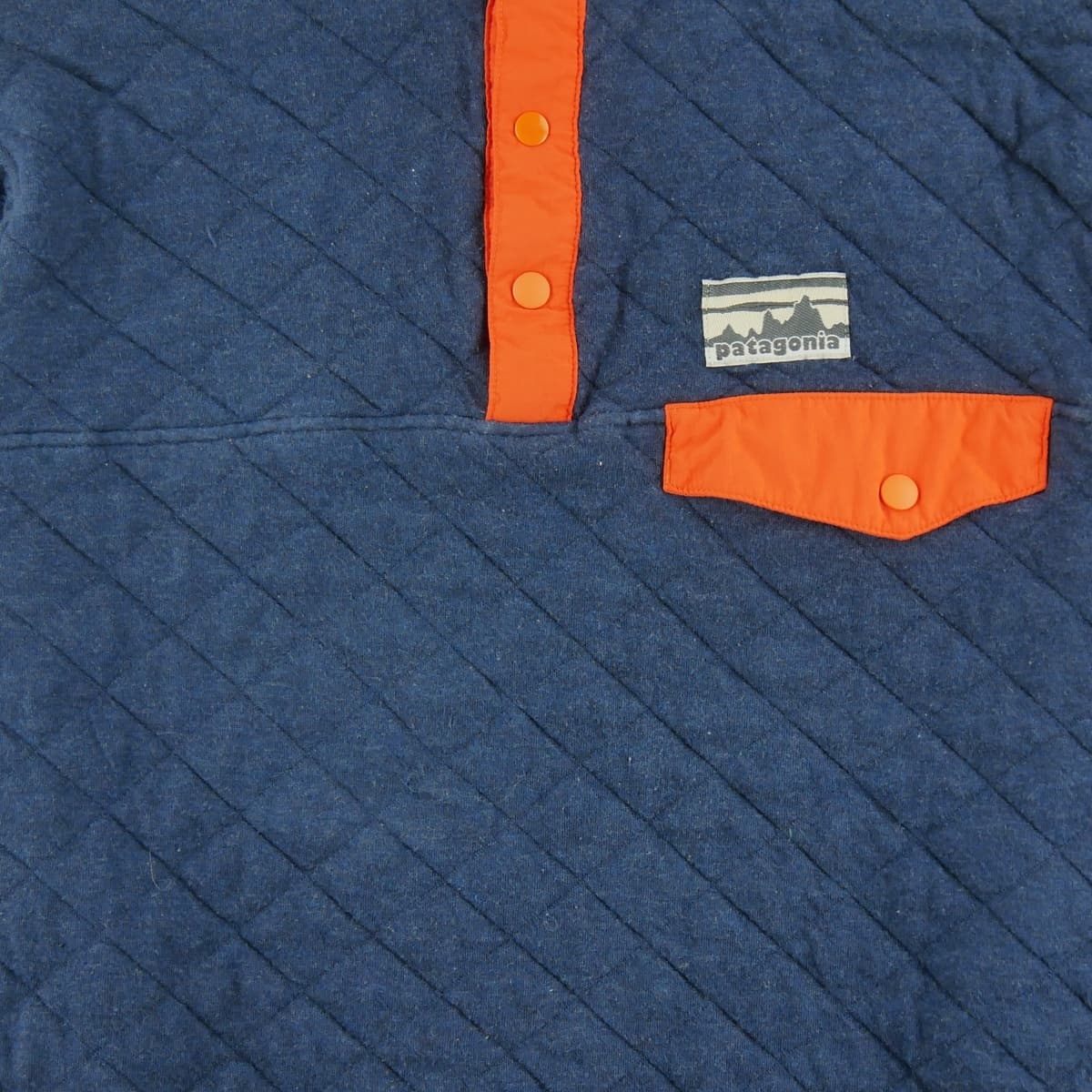 Men's Sweatshirts Patagonia Blue