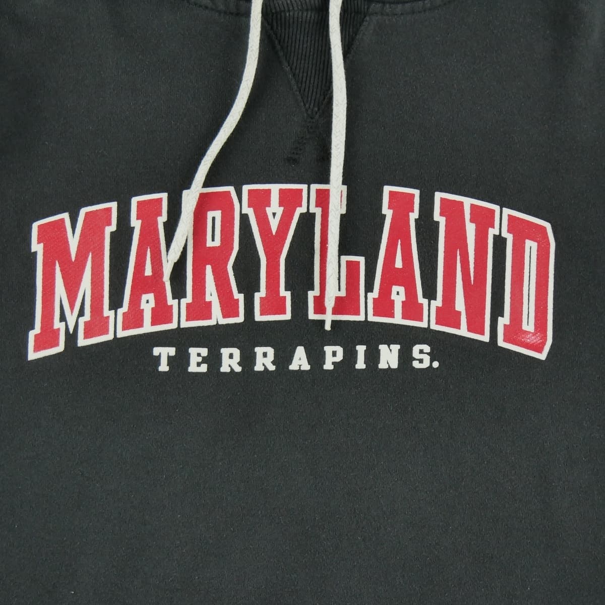 Men's Sweatshirts Champion Black