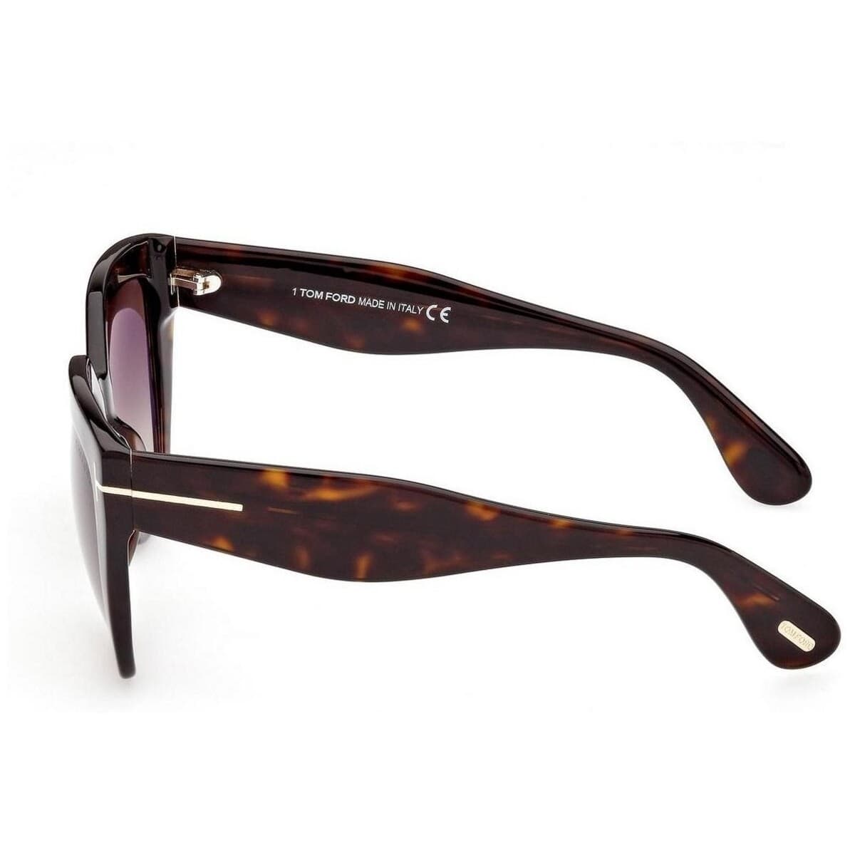 Women's Sunglasses Tom Ford Brown