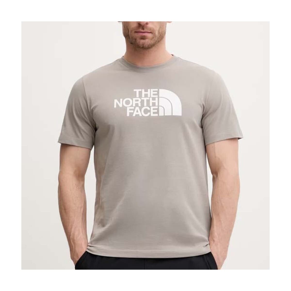 Men's T-Shirts The North Face Gray