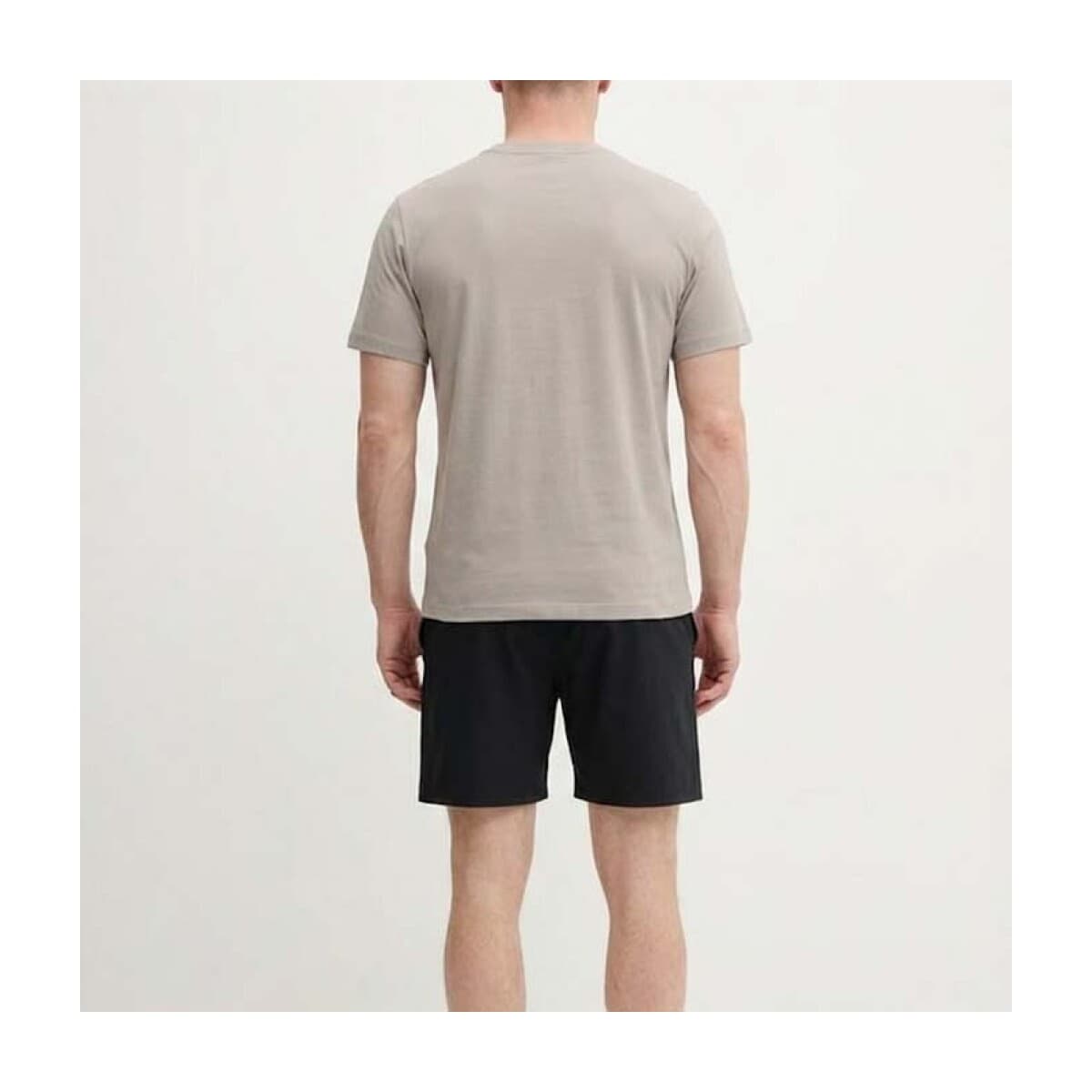 Men's T-Shirts The North Face Gray