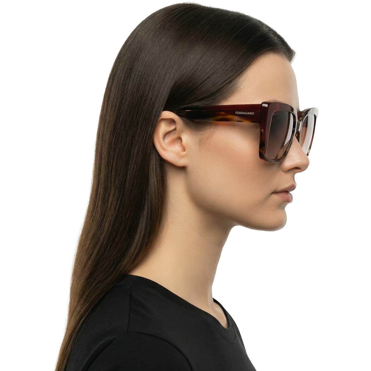 Women's Sunglasses Salvatore Ferragamo Multicolor