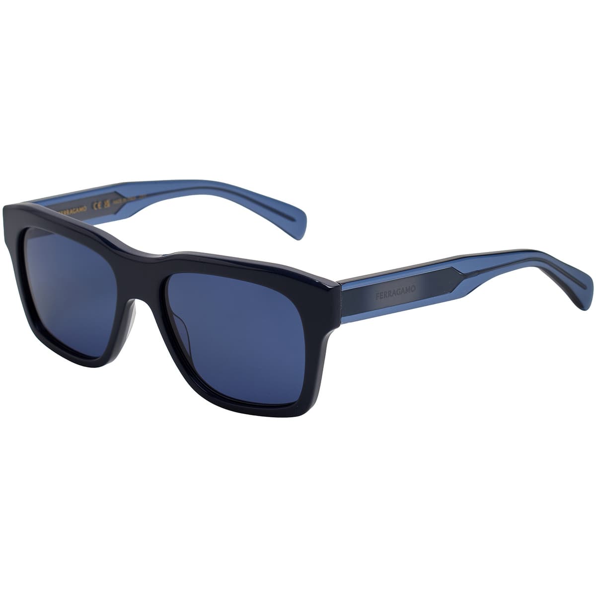 Men's Sunglasses Salvatore Ferragamo Blue