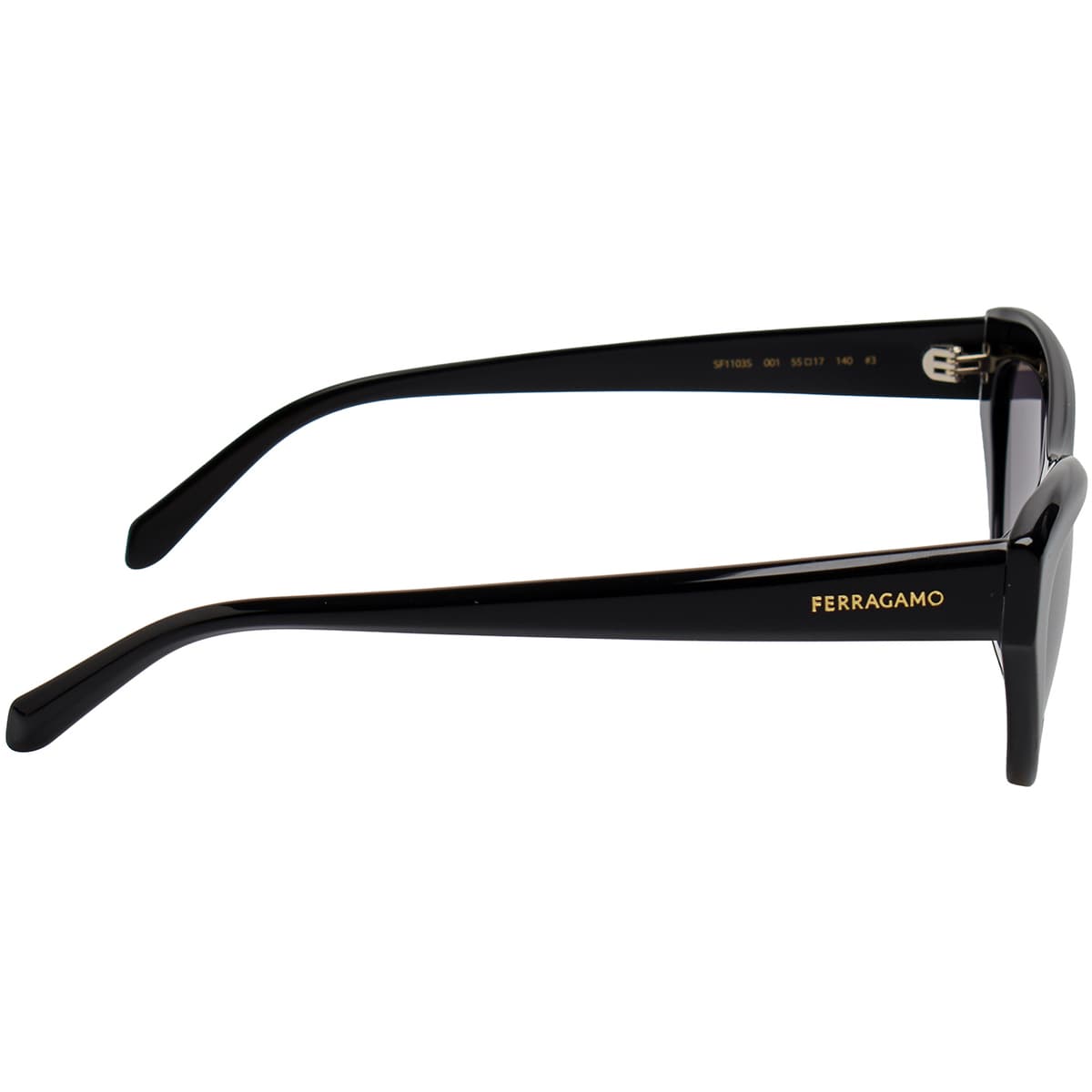 Women's Sunglasses Salvatore Ferragamo Black