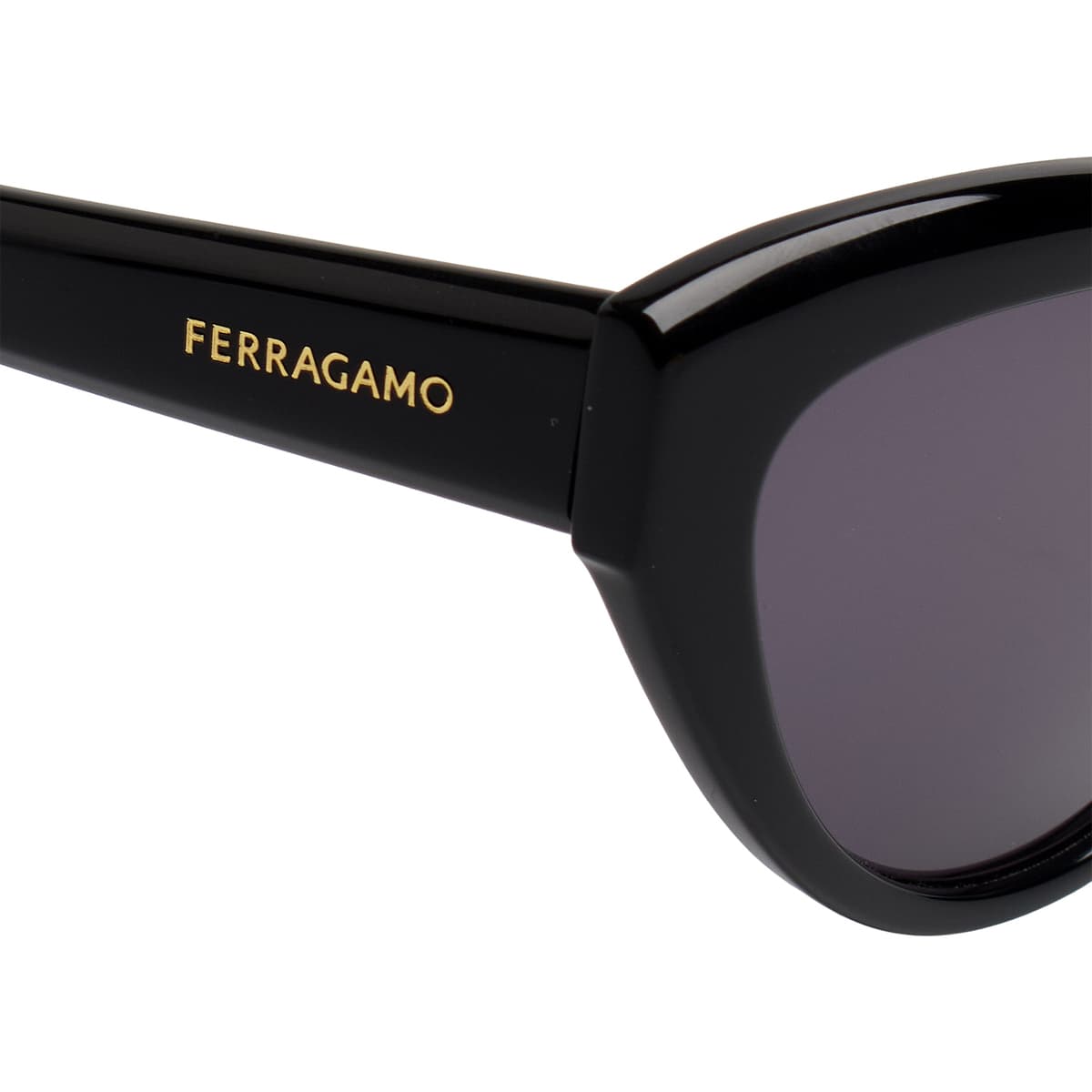 Women's Sunglasses Salvatore Ferragamo Black