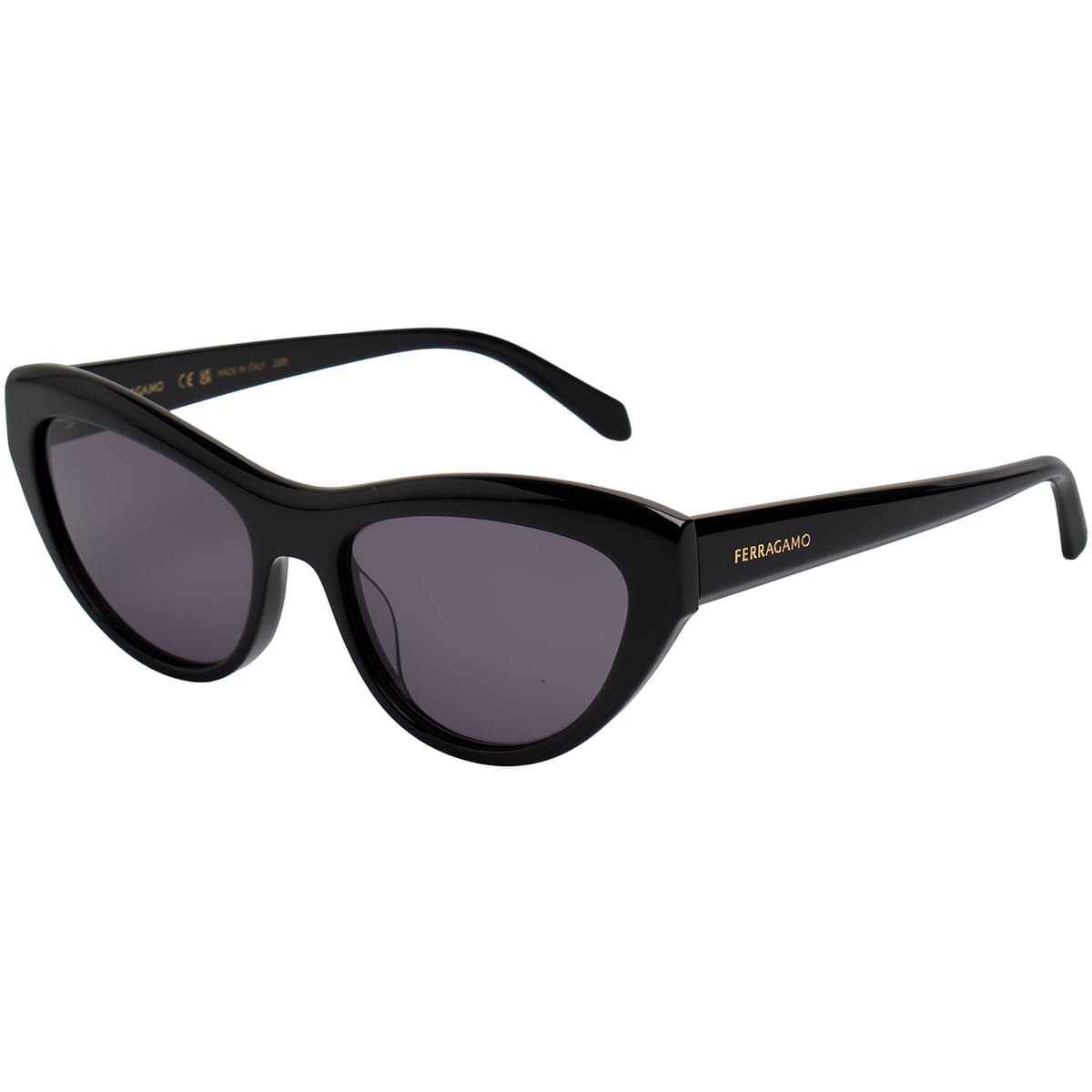 Women's Sunglasses Salvatore Ferragamo Black