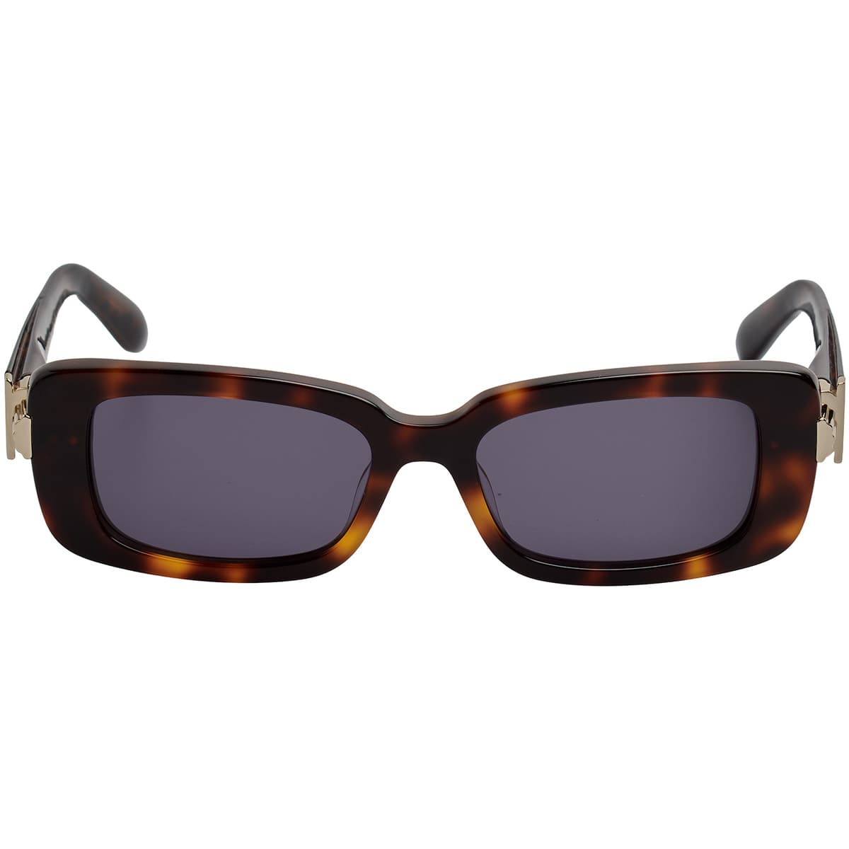 óculos de sol Salvatore Ferragamo SF1105S-240