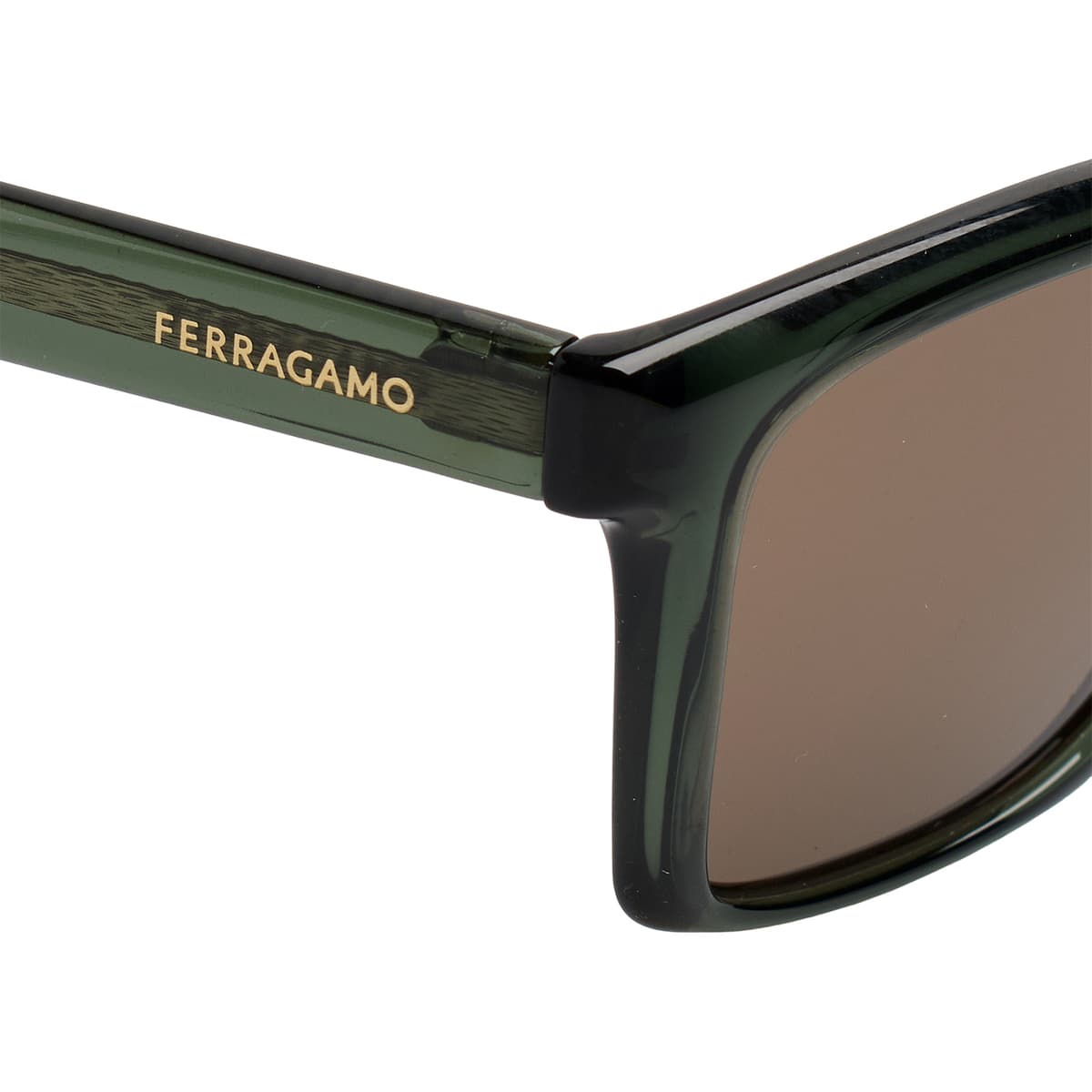 Men's Sunglasses Salvatore Ferragamo Green