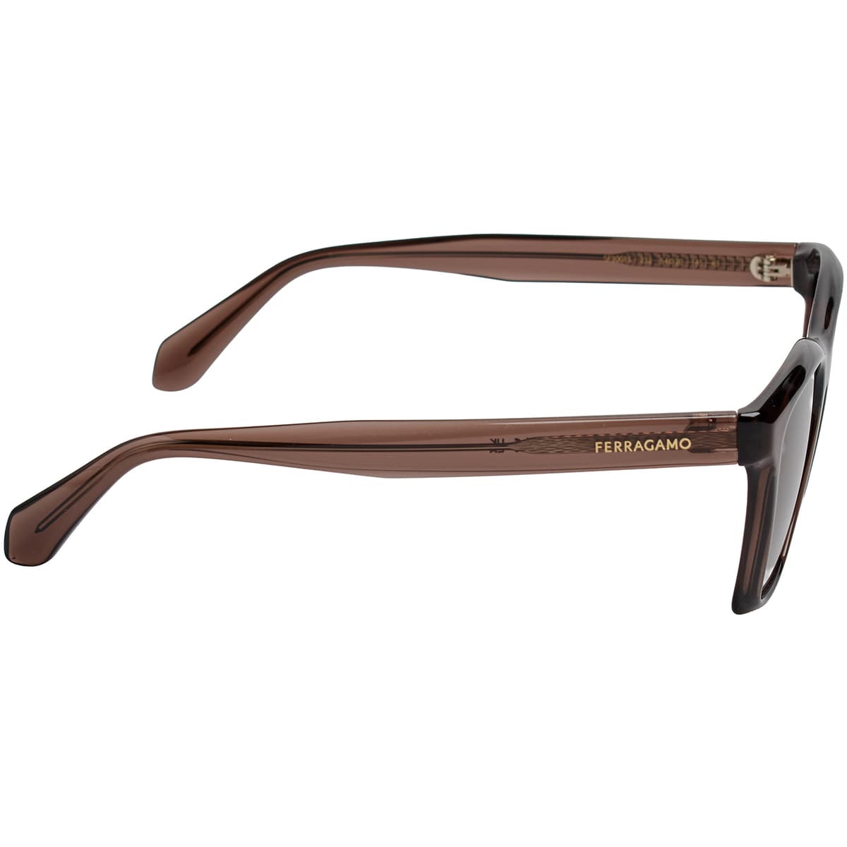 Men's Sunglasses Salvatore Ferragamo Brown