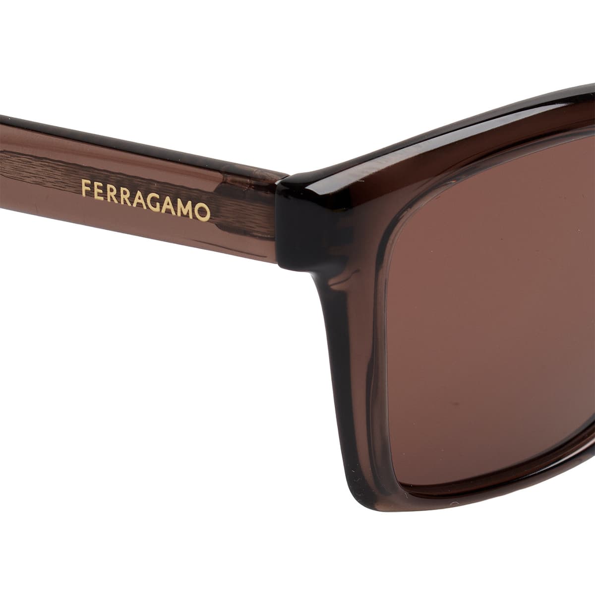 Men's Sunglasses Salvatore Ferragamo Brown