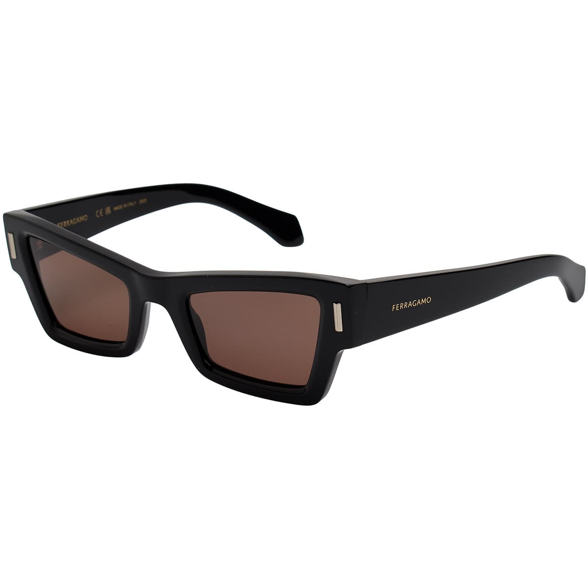 Women's Sunglasses Salvatore Ferragamo Black
