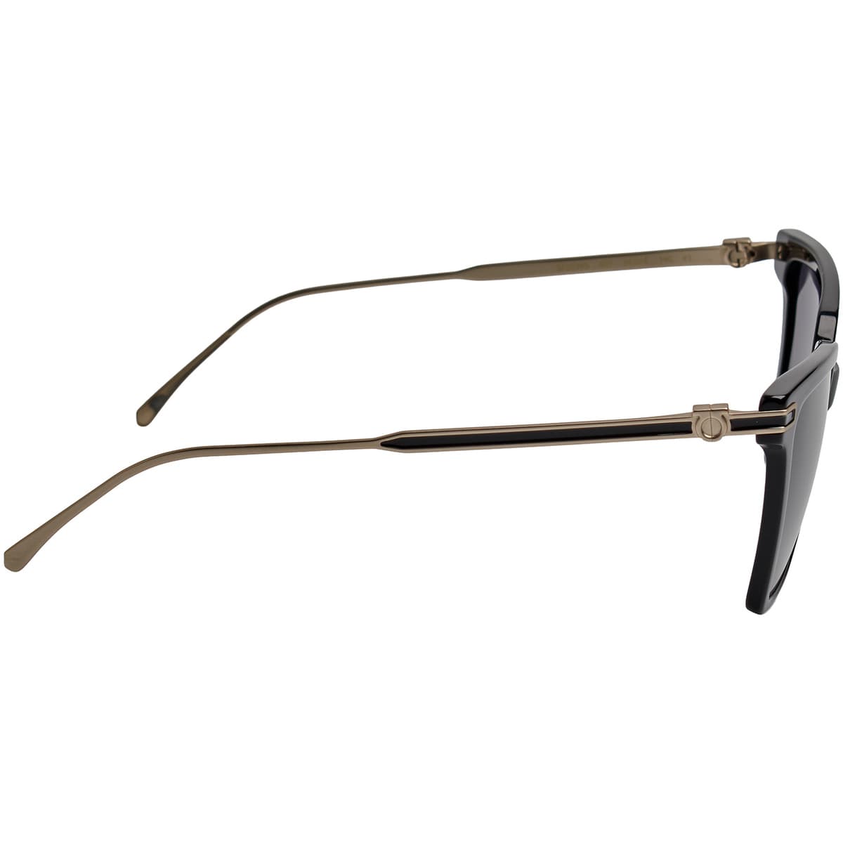 Women's Sunglasses Salvatore Ferragamo Black