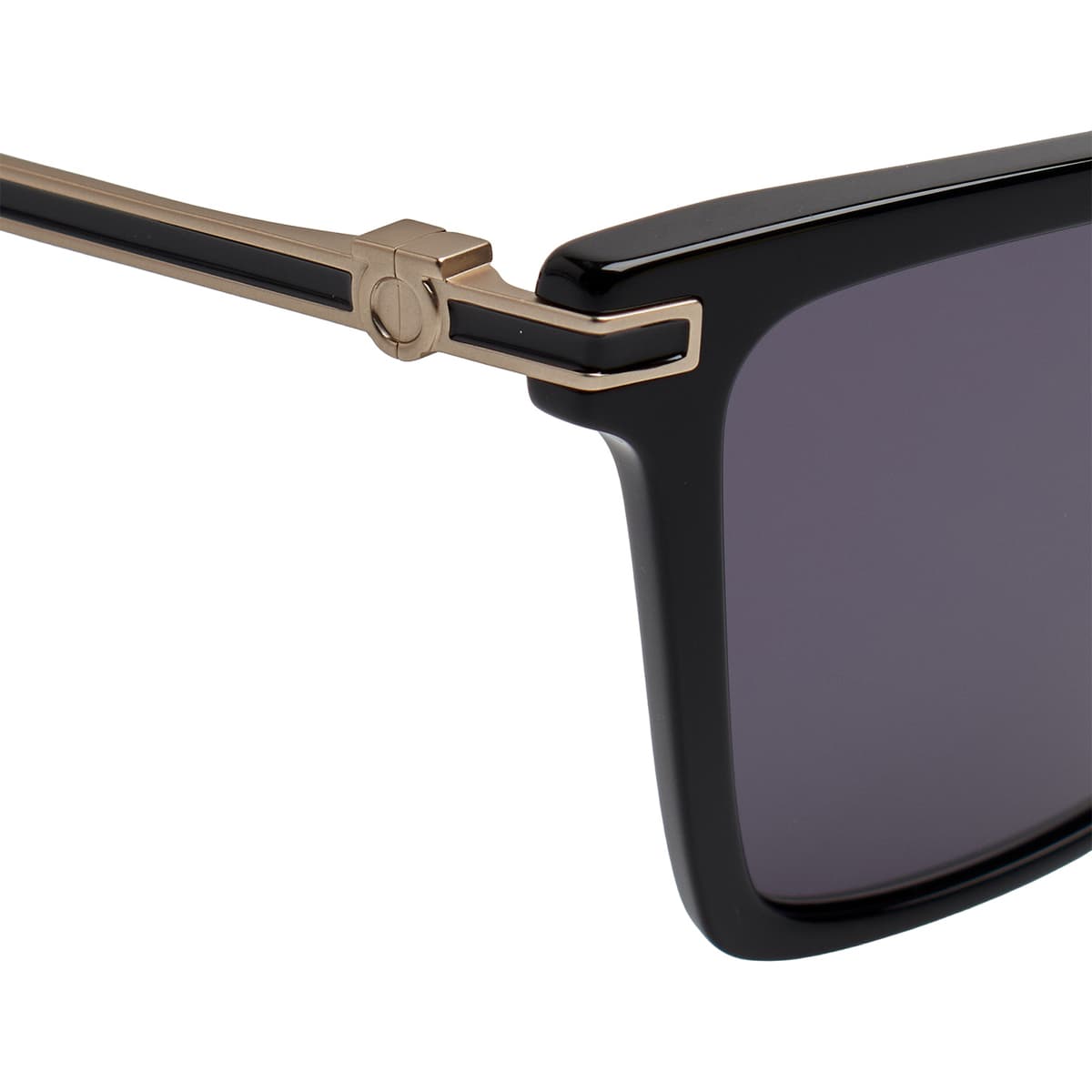 Women's Sunglasses Salvatore Ferragamo Black