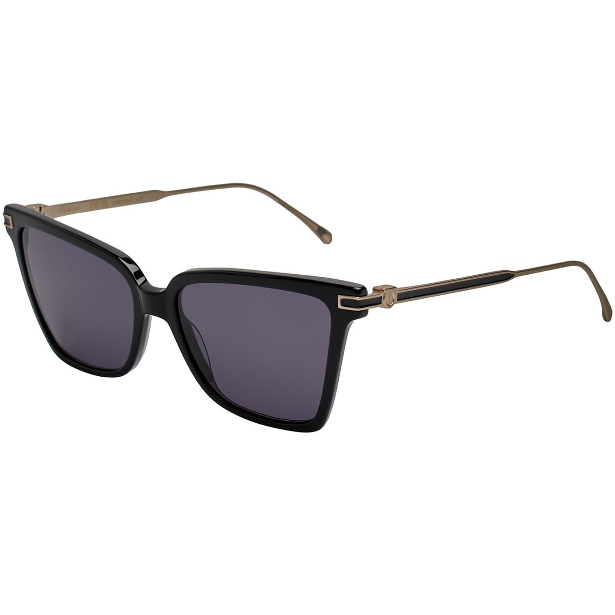 Women's Sunglasses Salvatore Ferragamo Black
