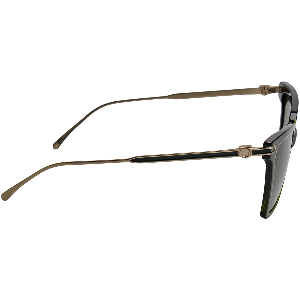 Women's Sunglasses Salvatore Ferragamo Multicolor