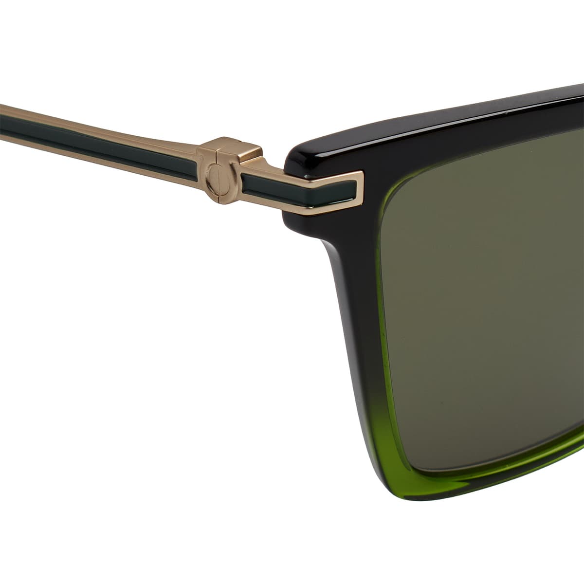 Women's Sunglasses Salvatore Ferragamo Multicolor