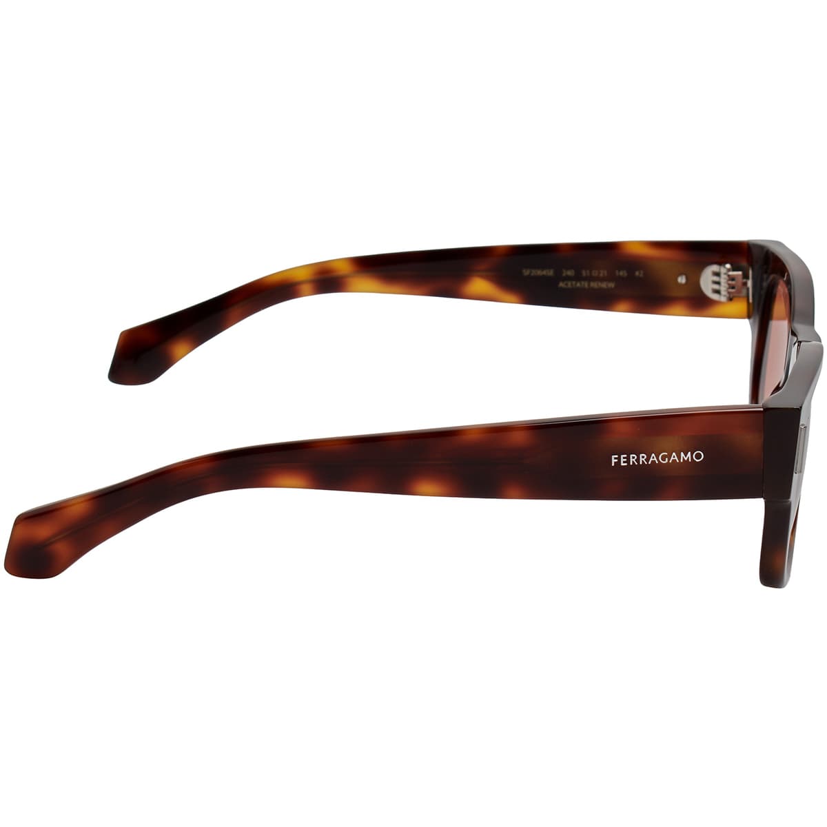 Men's Sunglasses Salvatore Ferragamo