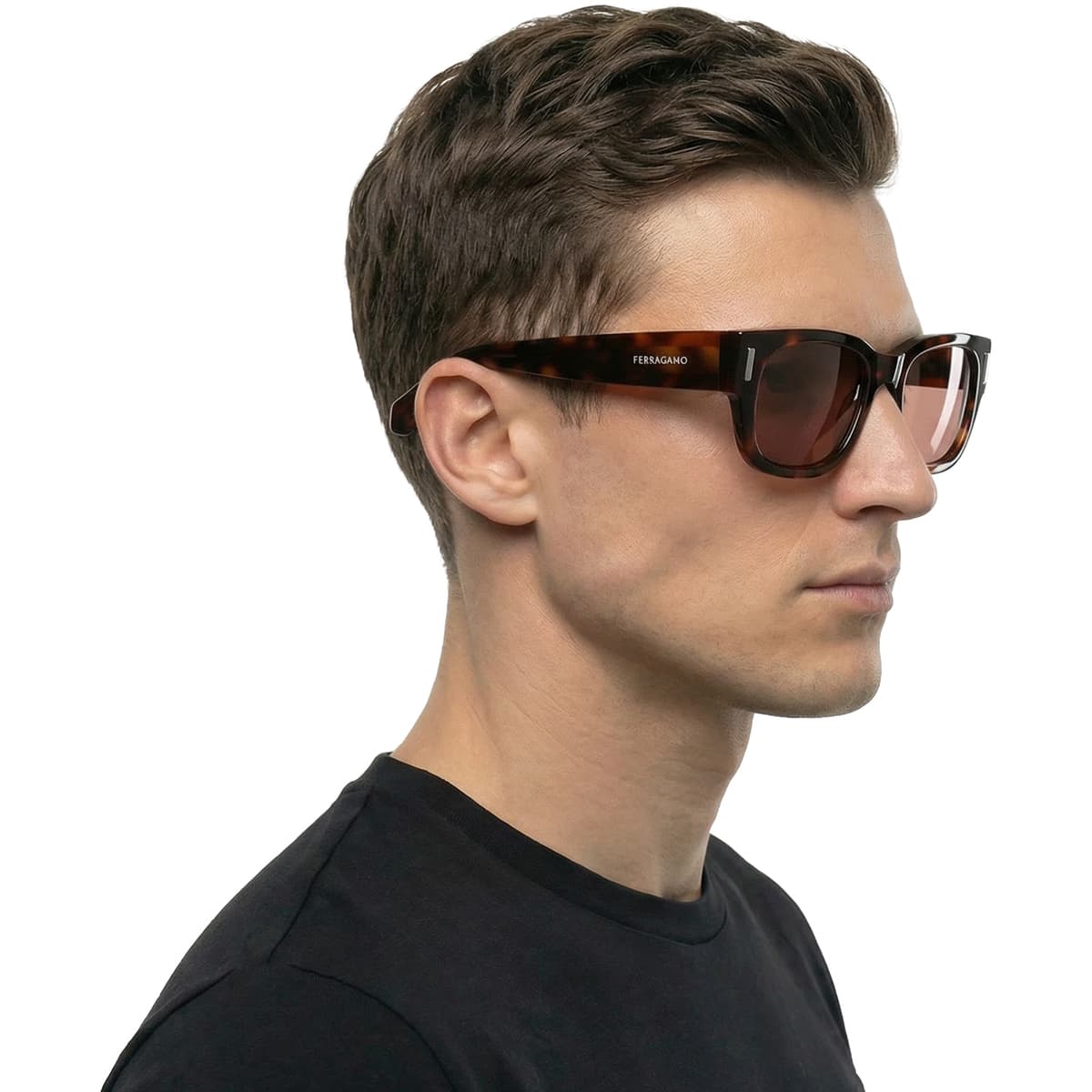 Men's Sunglasses Salvatore Ferragamo