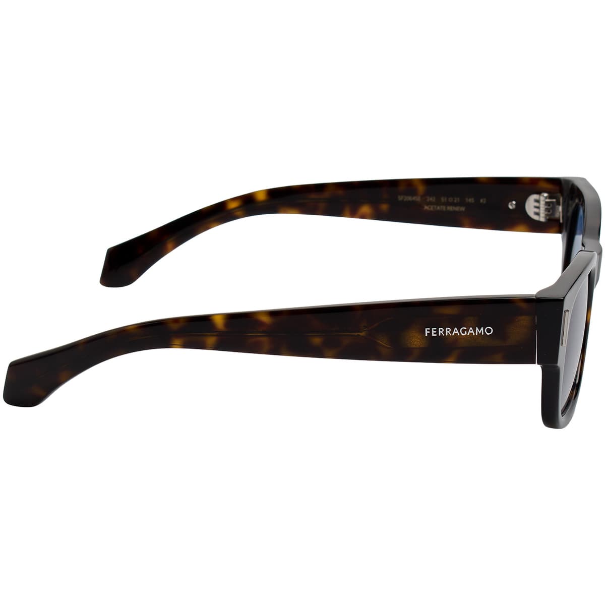 Men's Sunglasses Salvatore Ferragamo Brown