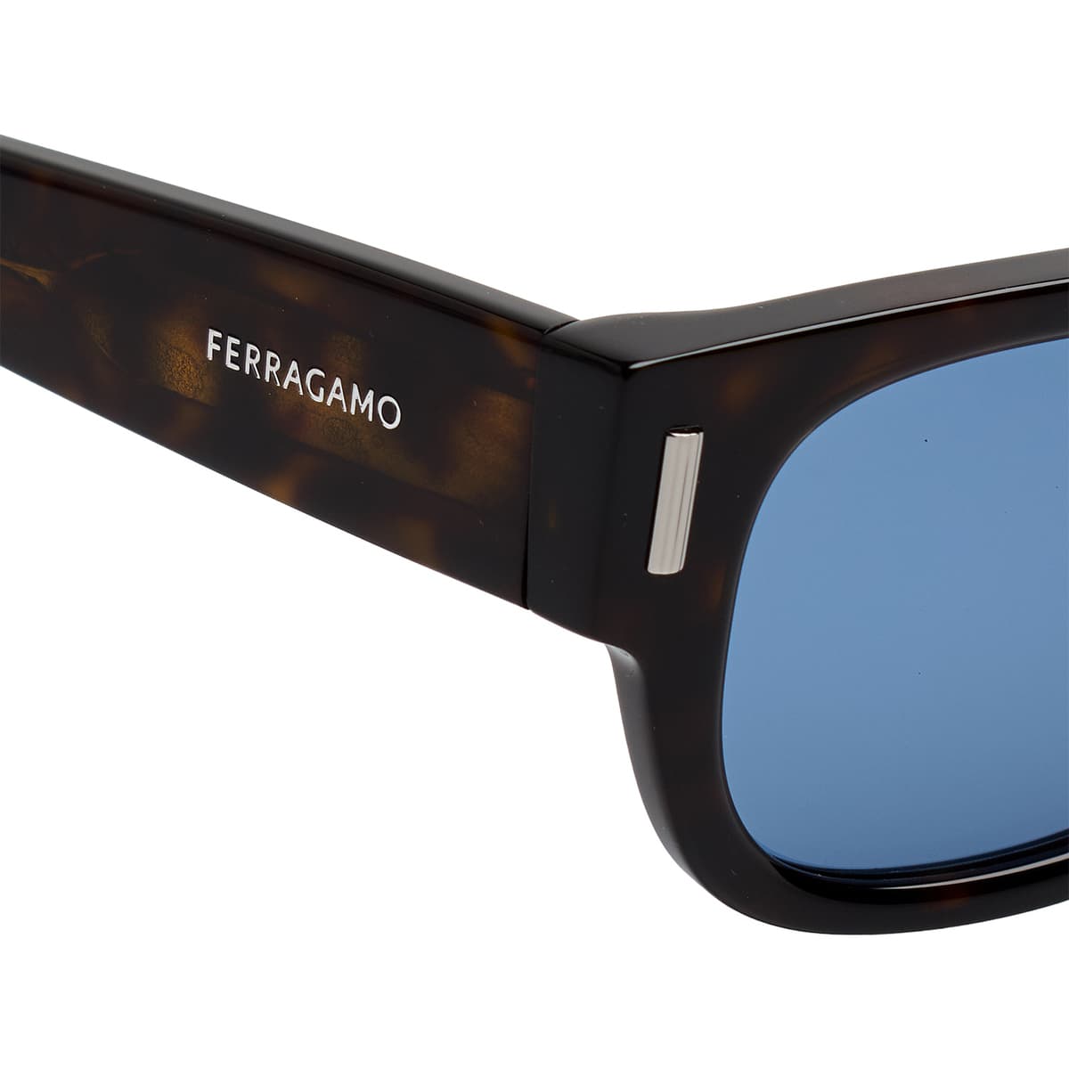 Men's Sunglasses Salvatore Ferragamo Brown