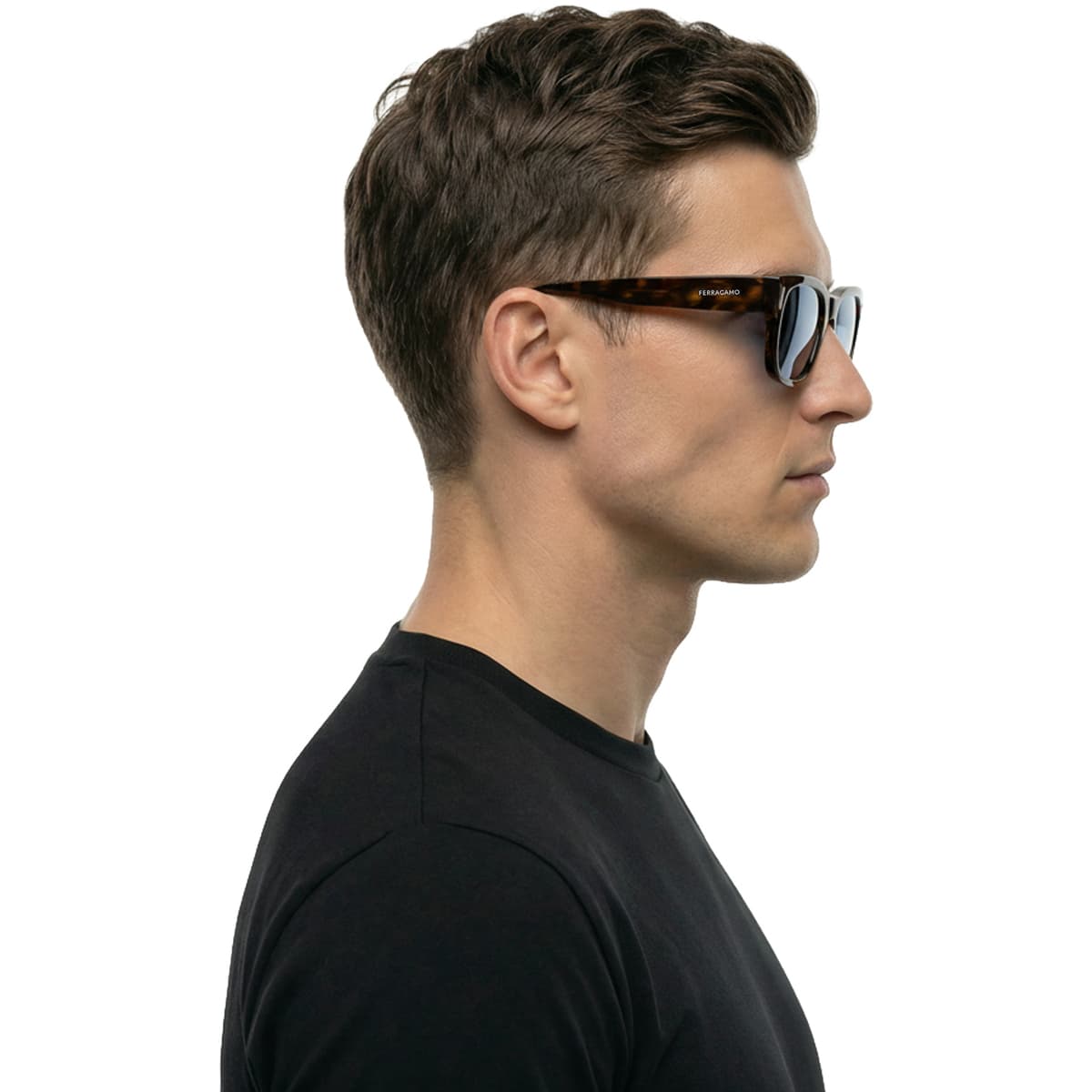 Men's Sunglasses Salvatore Ferragamo Brown