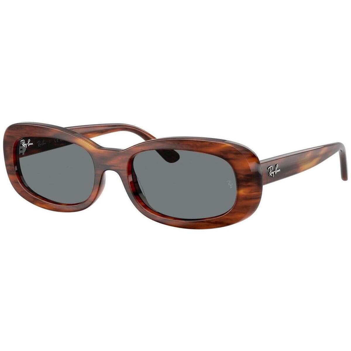 Women's Sunglasses Ray-ban Brown