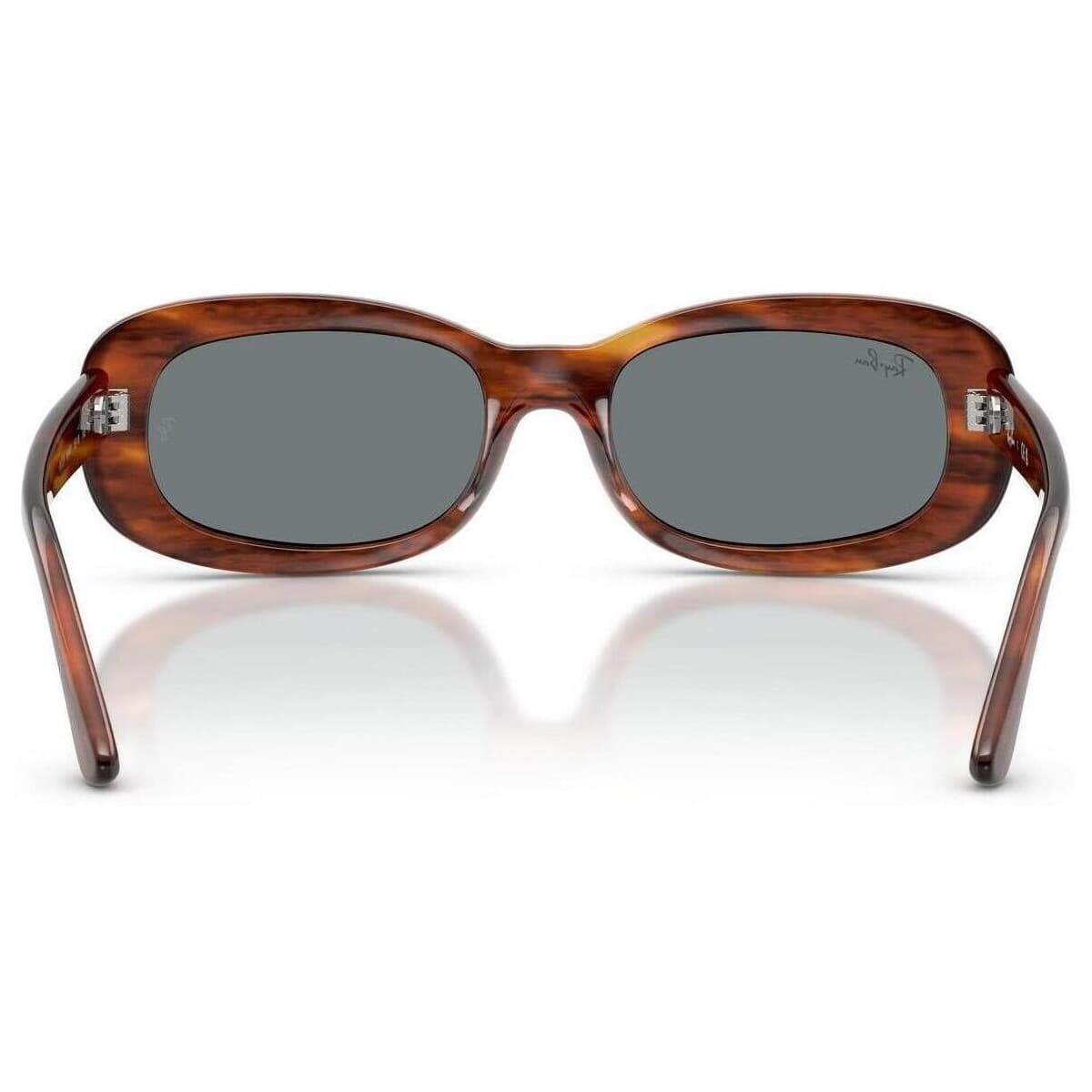 Women's Sunglasses Ray-ban Brown