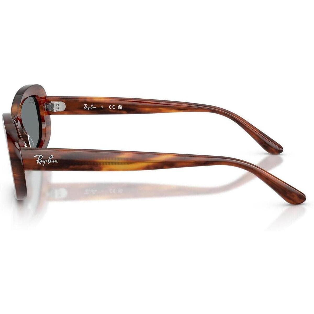 Women's Sunglasses Ray-ban Brown