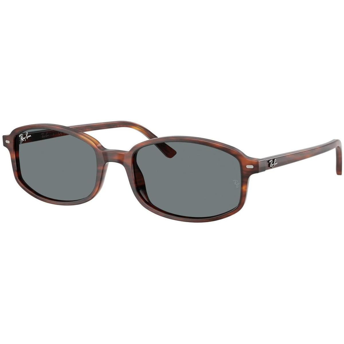 Men's Sunglasses Ray-ban Brown