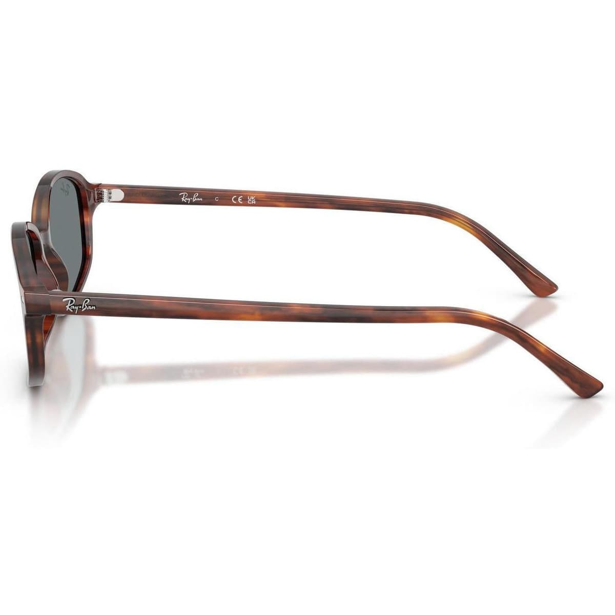 Men's Sunglasses Ray-ban Brown