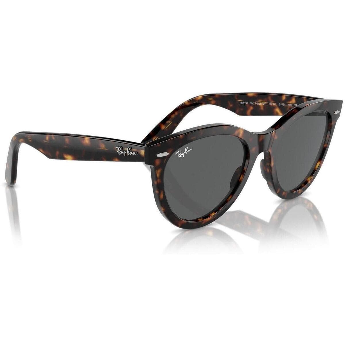 Men's Sunglasses Ray-ban Brown