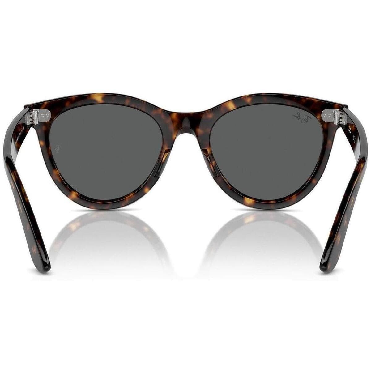 Men's Sunglasses Ray-ban Brown