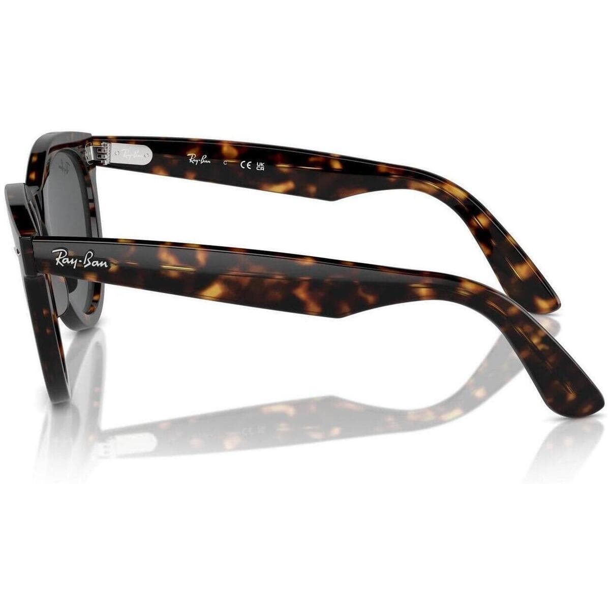 Men's Sunglasses Ray-ban Brown