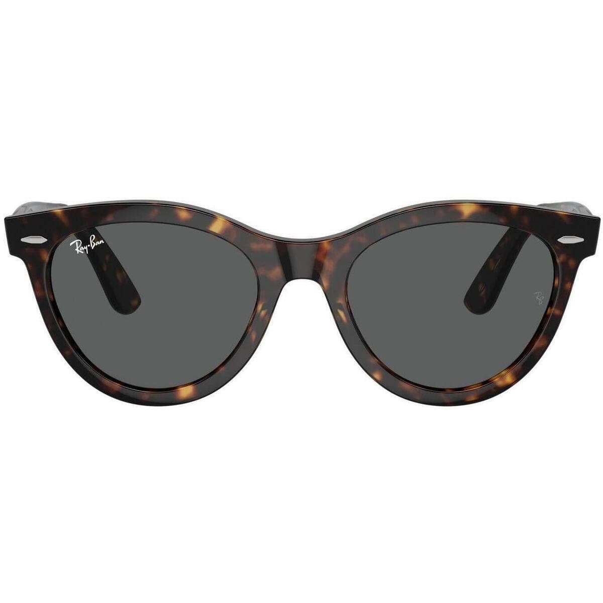 Men's Sunglasses Ray-ban Brown