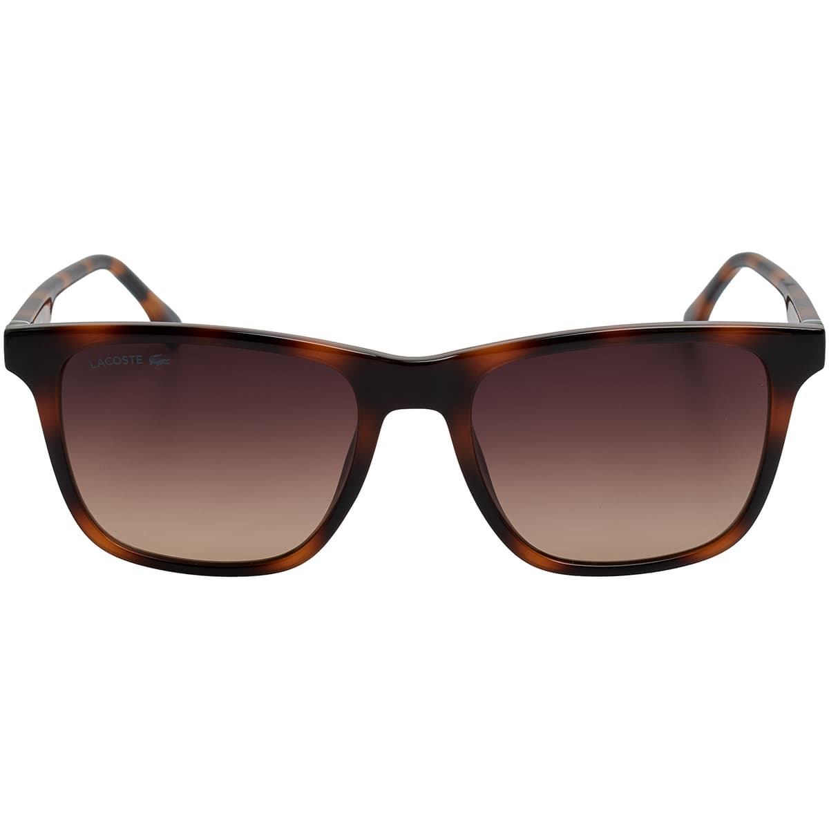 Men's Sunglasses Lacoste Multicolor