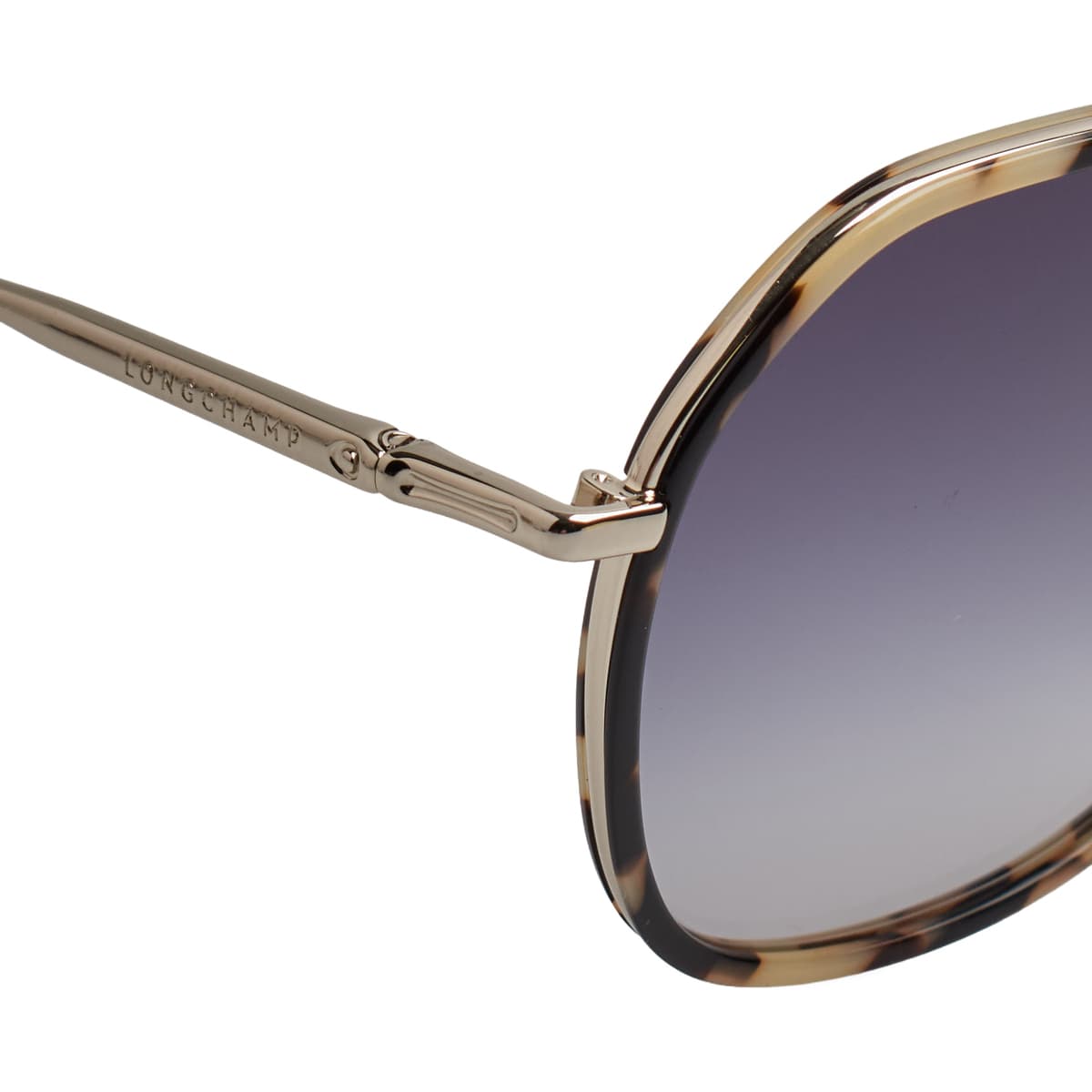 Women's Sunglasses Longchamp Multicolor