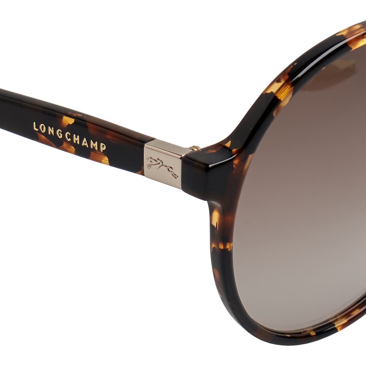 Women's Sunglasses Longchamp Brown