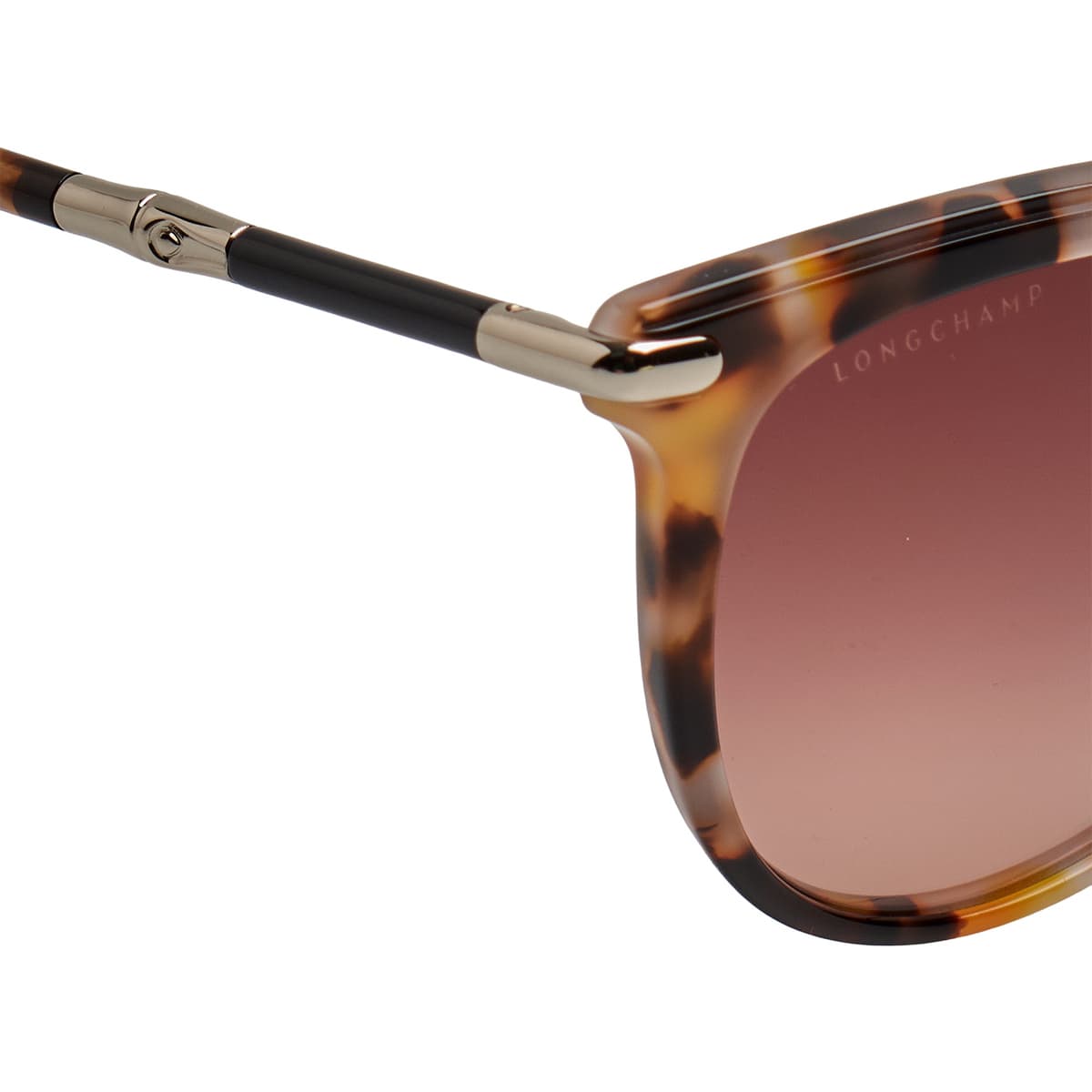 Women's Sunglasses Longchamp Pink