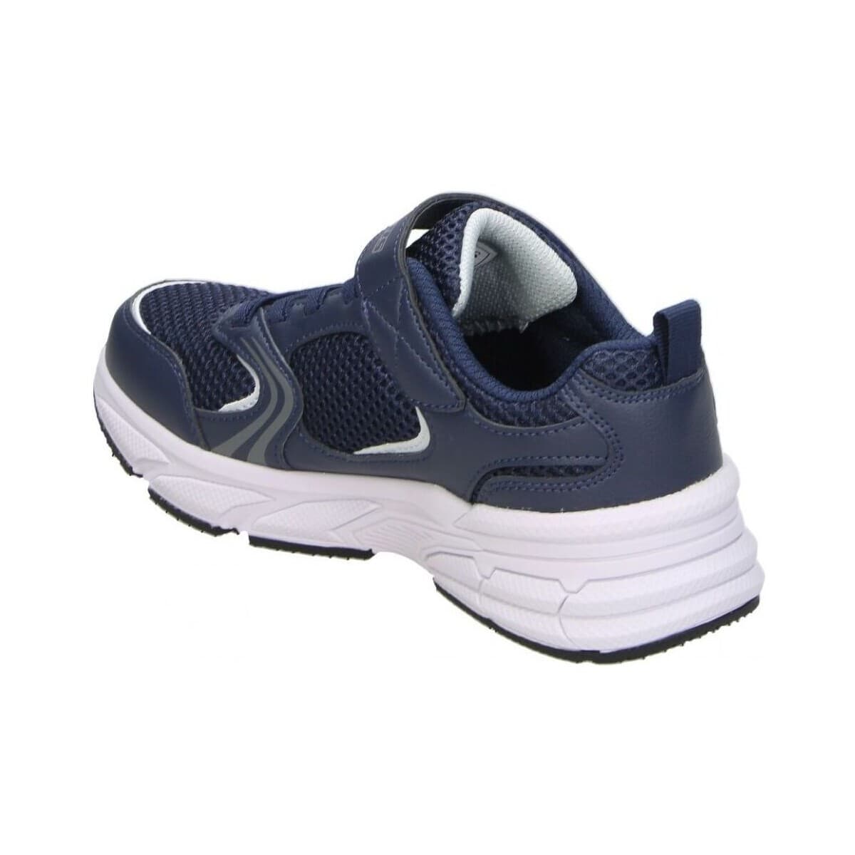 Boys' Sneakers Skechers Blue