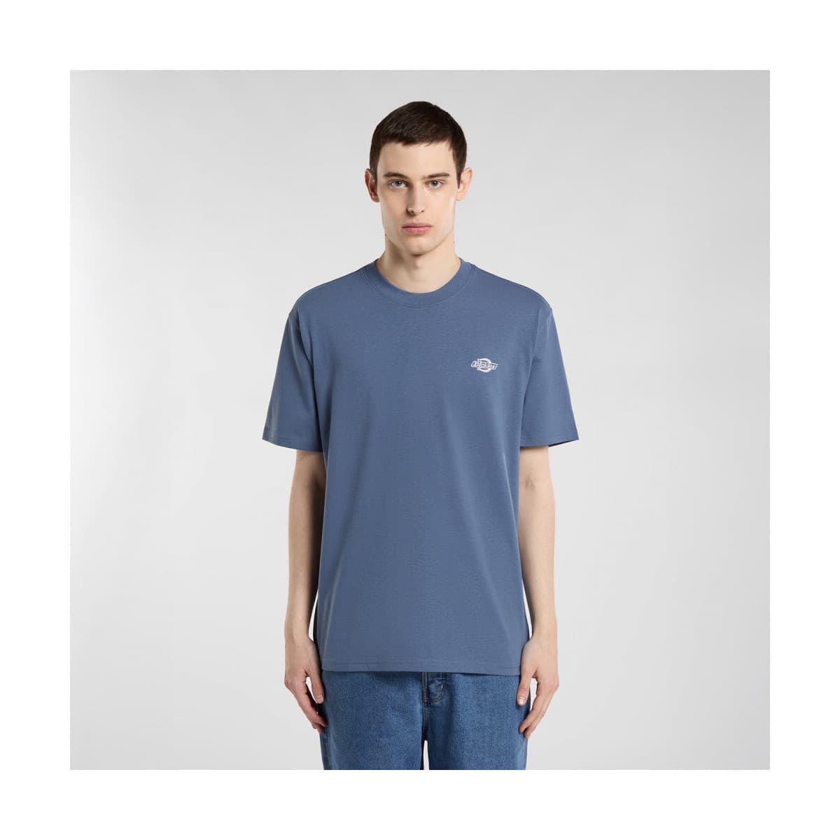 T-shirt με κοντά μανίκια Dickies Summerdale ss tee