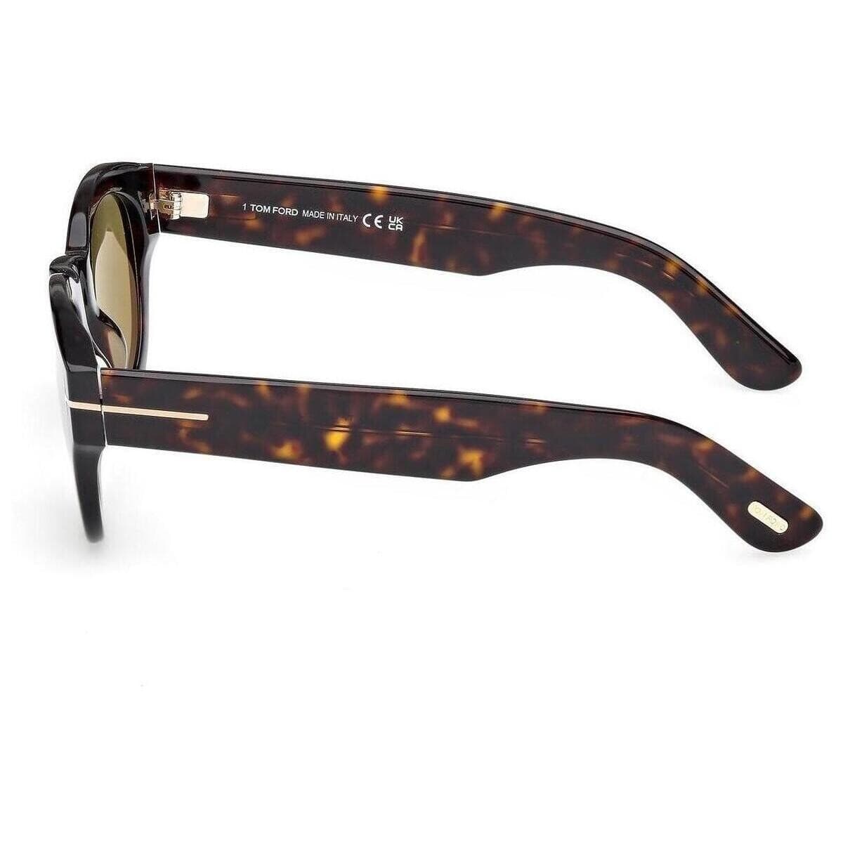 Men's Sunglasses Tom Ford