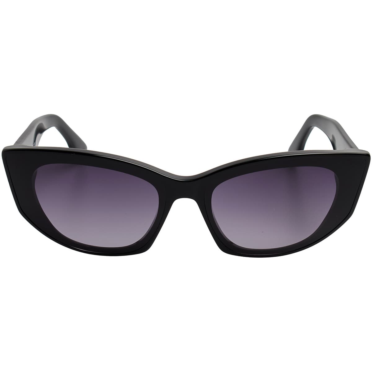 Women's Sunglasses Karl Lagerfeld Brown