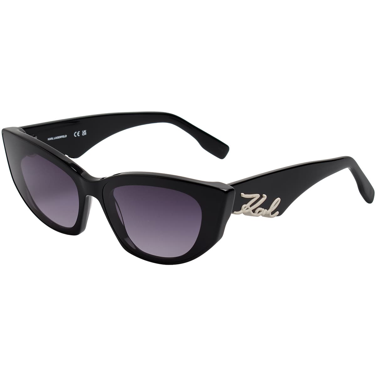 Women's Sunglasses Karl Lagerfeld Black