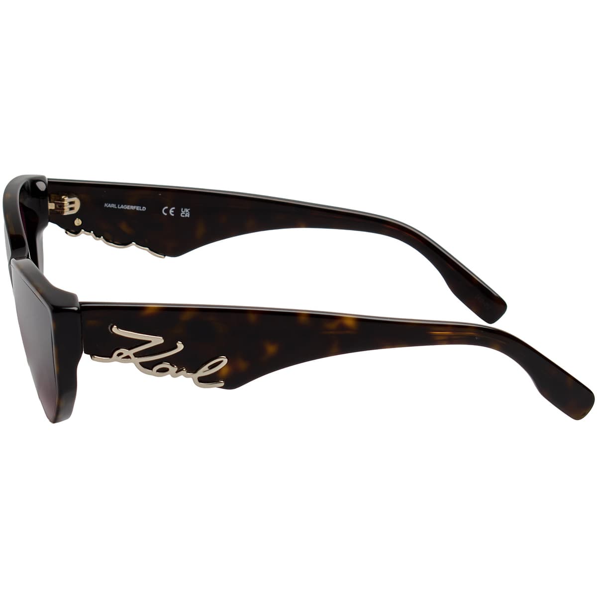 Women's Sunglasses Karl Lagerfeld Brown