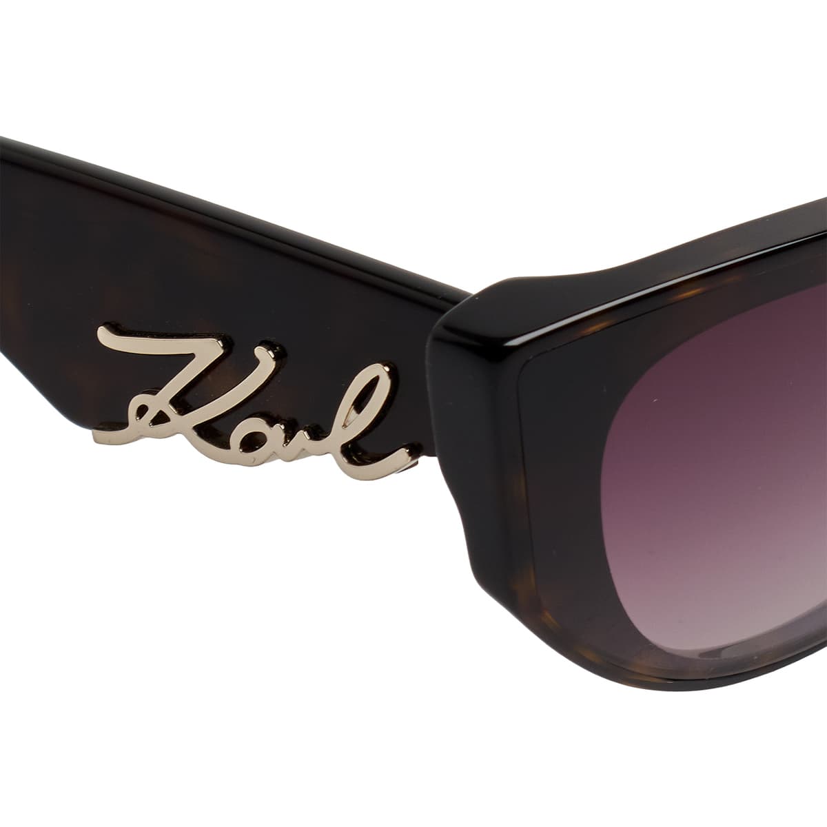 Women's Sunglasses Karl Lagerfeld Brown