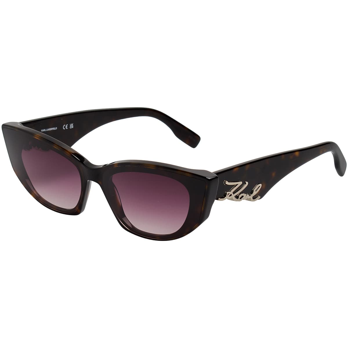 Women's Sunglasses Karl Lagerfeld Brown
