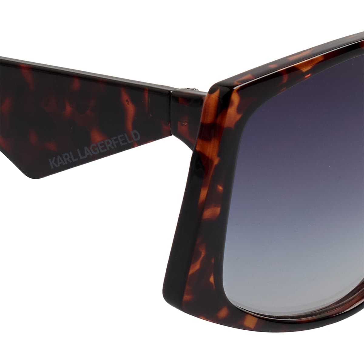 Women's Sunglasses Karl Lagerfeld Brown